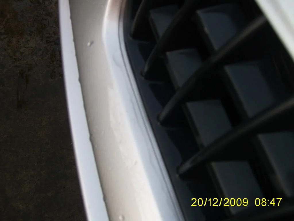 PIC_0319.webp