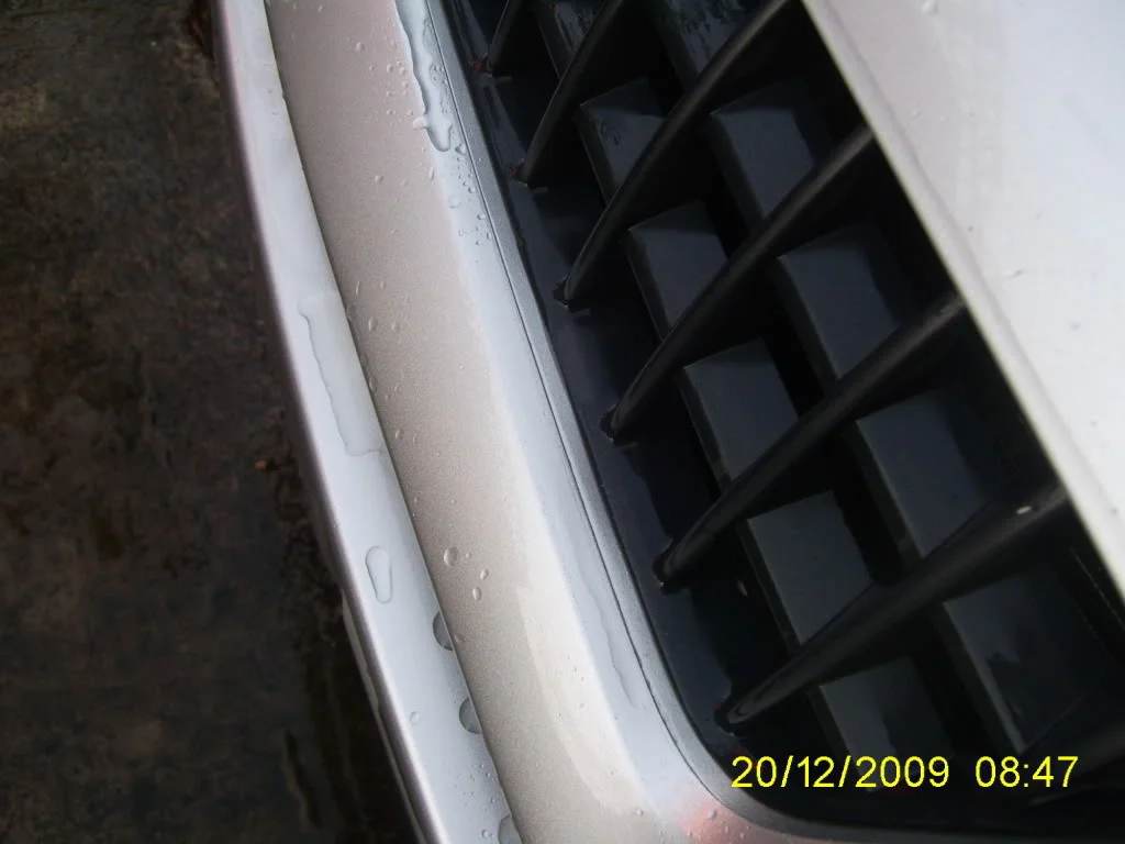 PIC_0320.webp