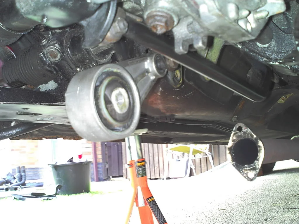 PIC_0330.webp