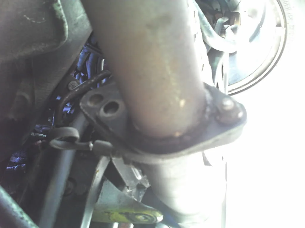 PIC_0346.webp