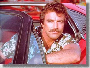 pic_selleck.webp