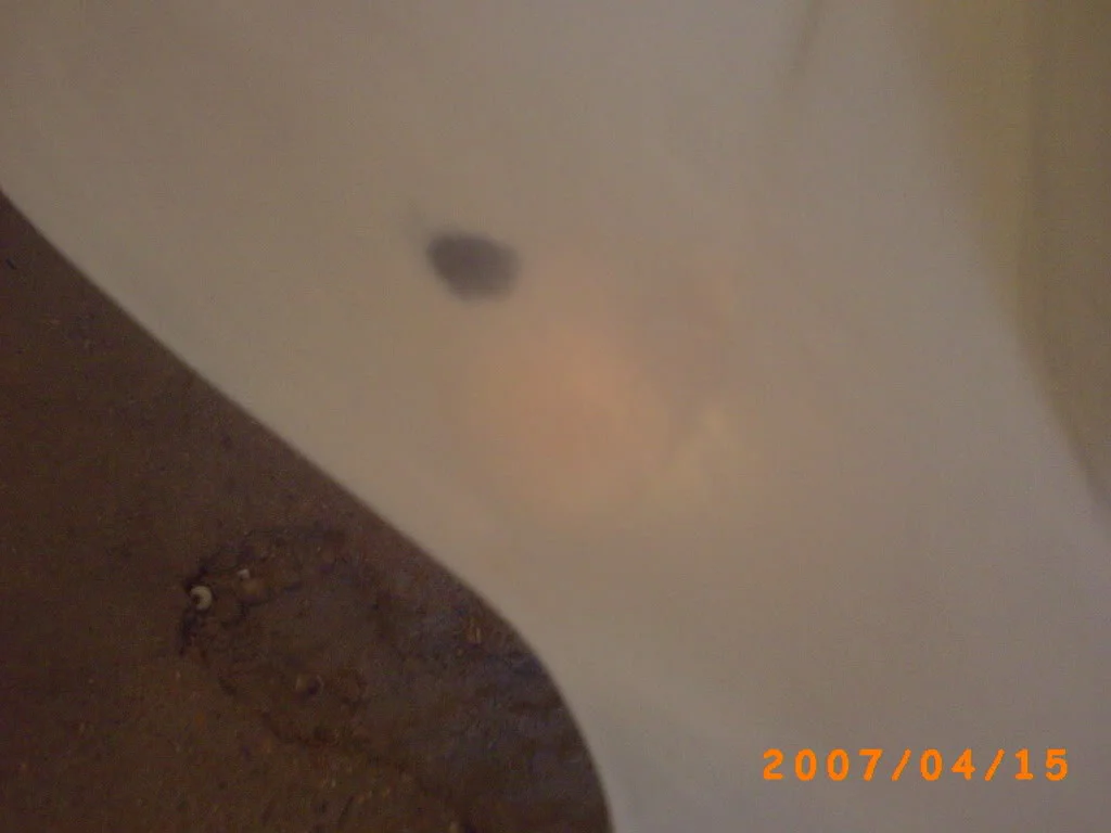 PICT0009.webp