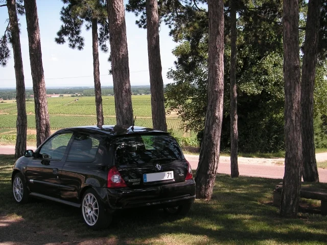 pict0040-fb8fc9.webp