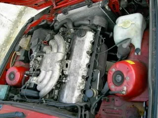 PICT0662.webp