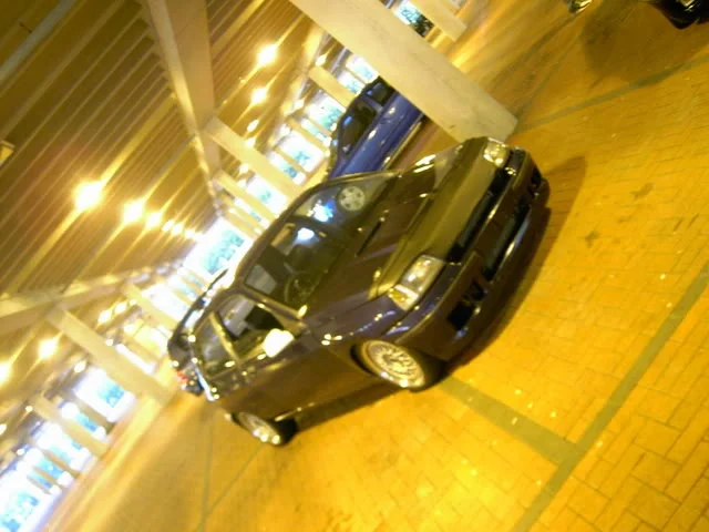 PICT2480.webp