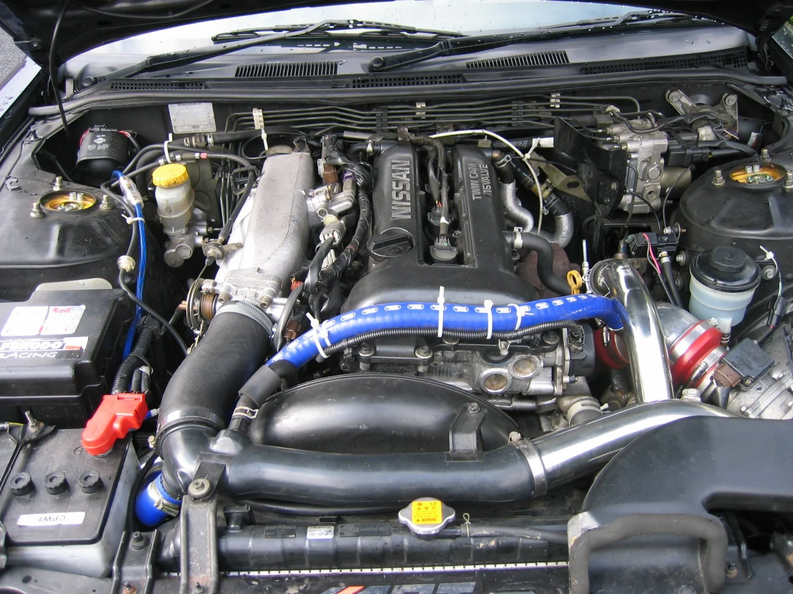 Picture 001a.webp