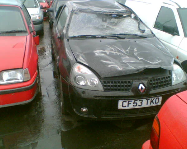 picture.webp