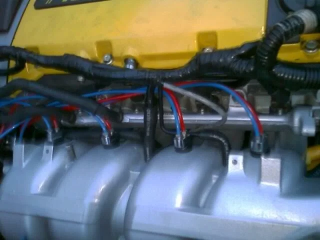 picture.webp
