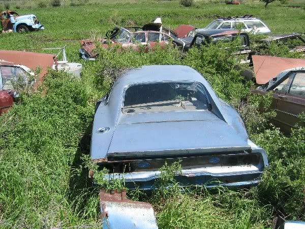 Picture002.webp
