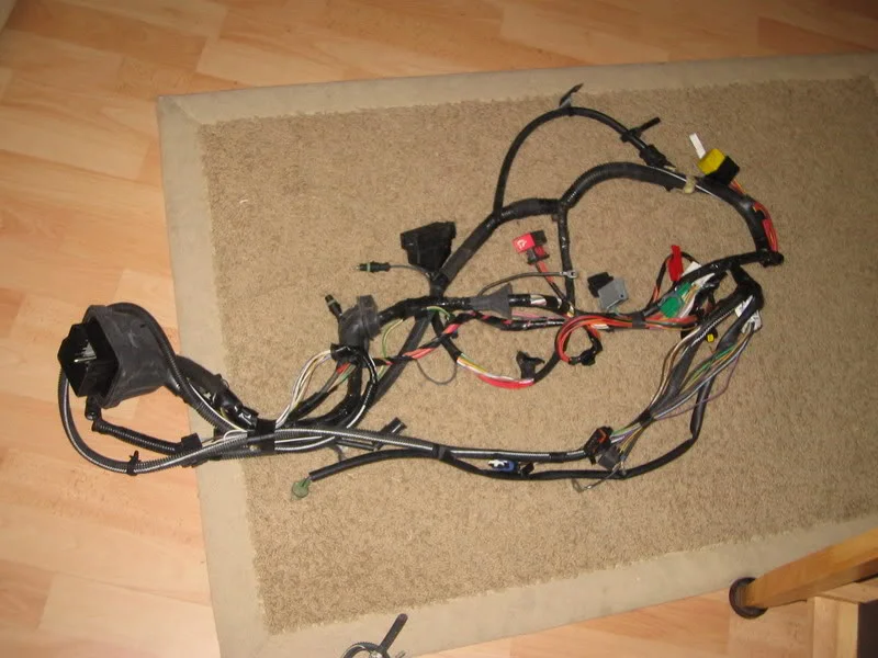 Picture003.webp
