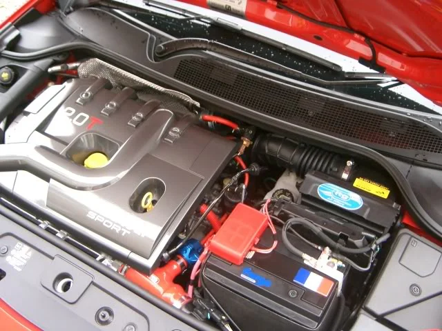 Picture008.webp