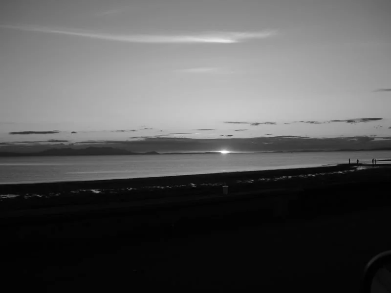 Picture009.webp