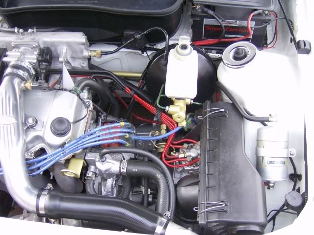 Picture024.jpg