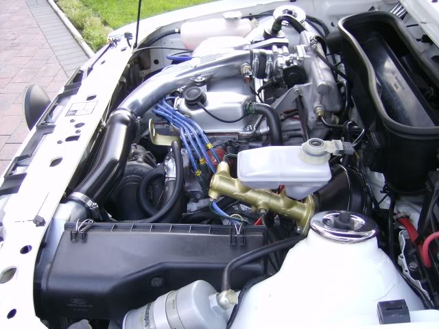 Picture025.jpg