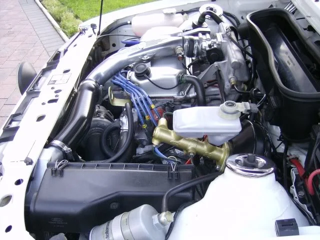 Picture025.webp