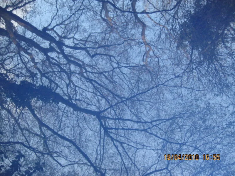 Picture035-1.webp