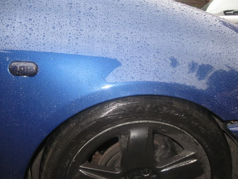 Picture040-1.webp
