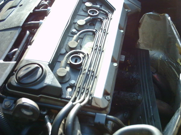 Picture049.jpg