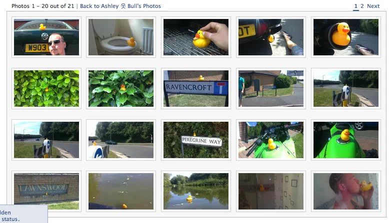 Picture1-6.webp