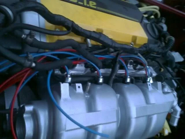 picture1.webp