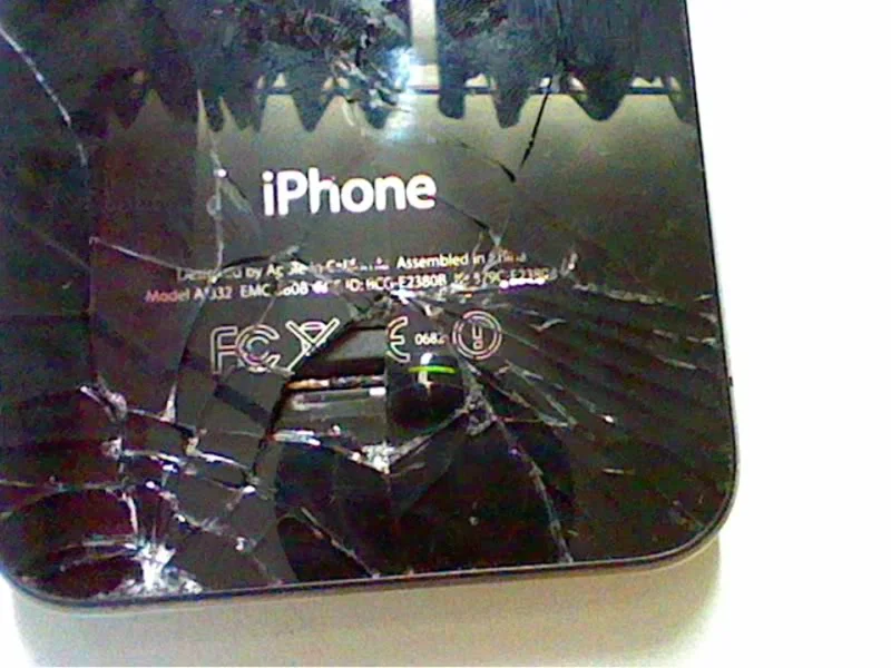 Picture1.webp