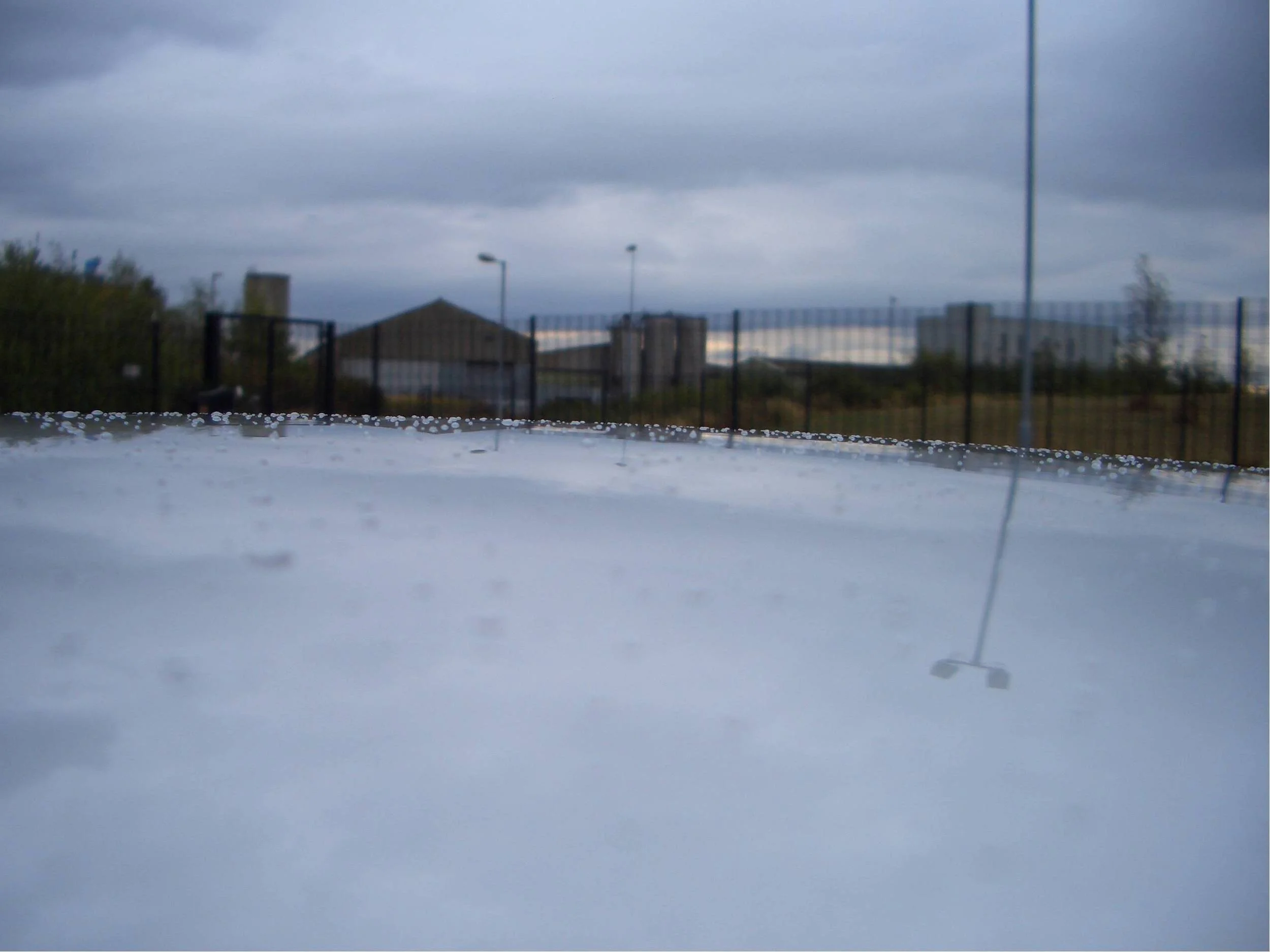 Picture11.webp