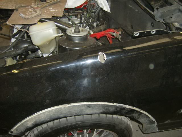 Picture137.jpg
