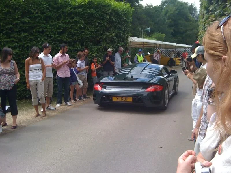 Picture159.webp
