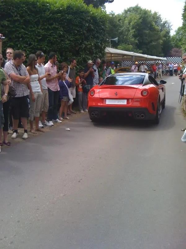 Picture175.webp