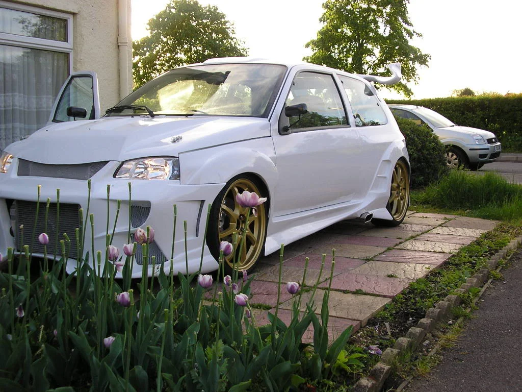 Picturenuts030.webp