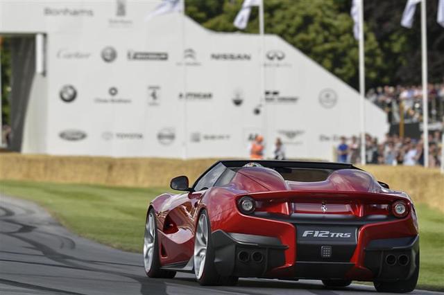 Pictures%20From%20Goodwood%20Festival%20of%20Speed%202014%20-%2065.jpg