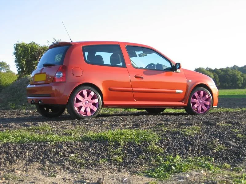 pinkwheels.webp