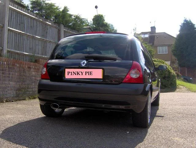 pinkypie.webp