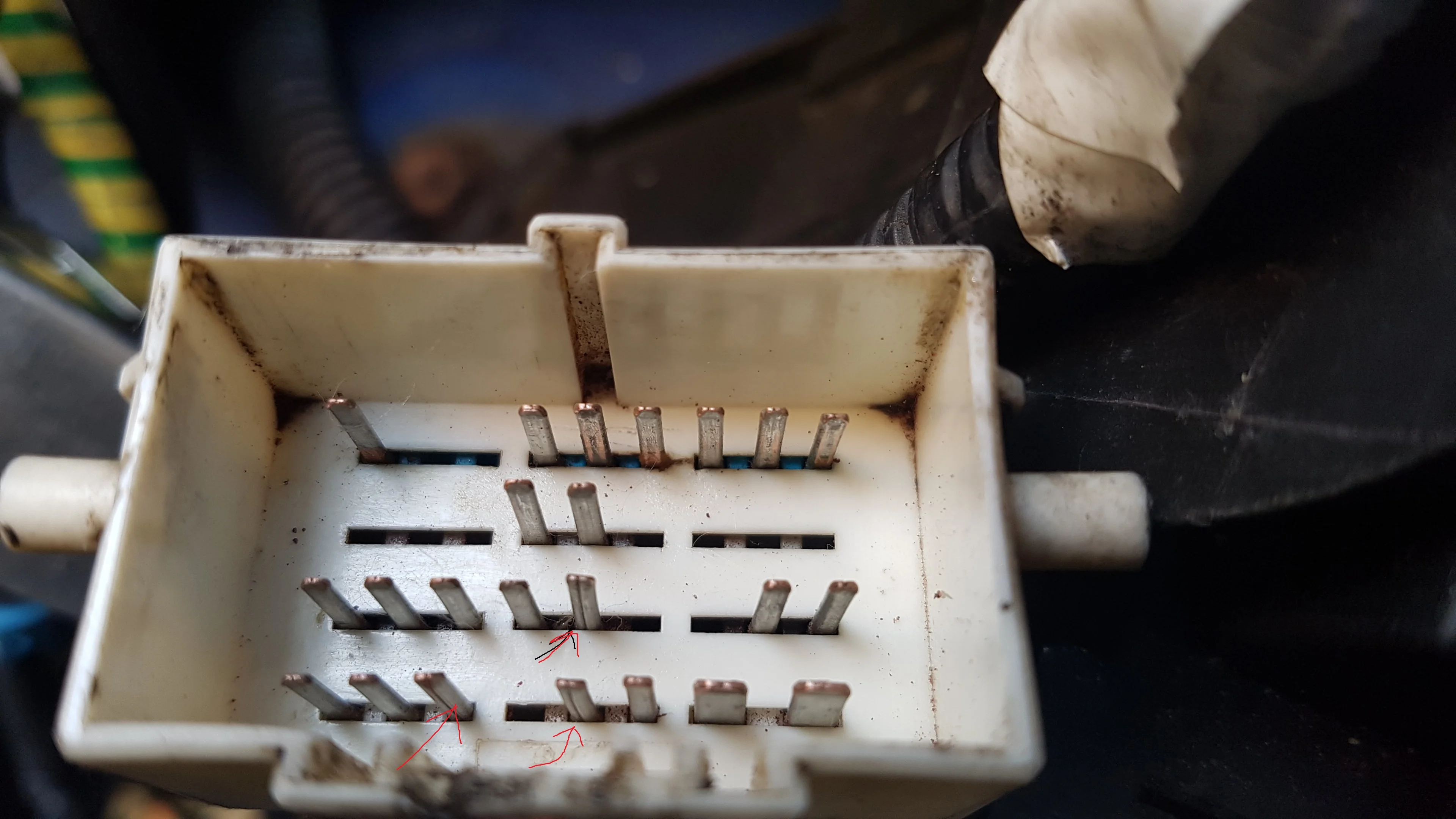 plug pins.webp