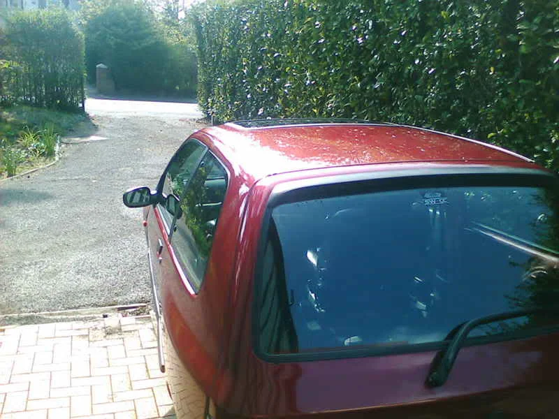 polished5.webp