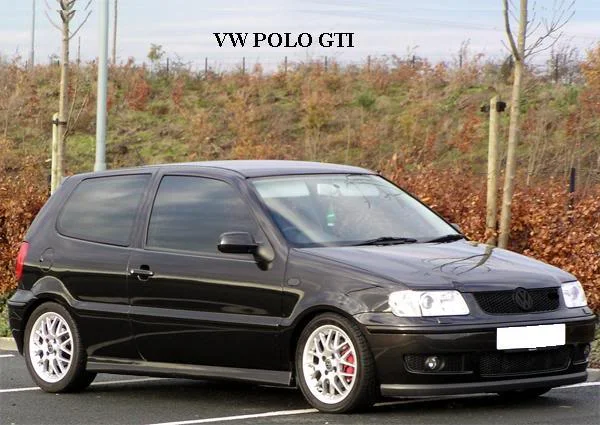 Polo-1.webp