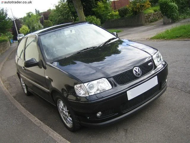 polo1.webp