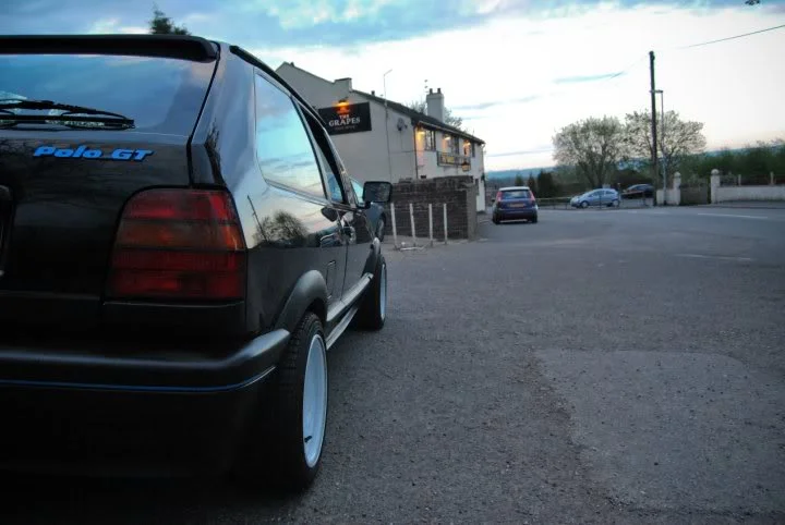 polo11.webp