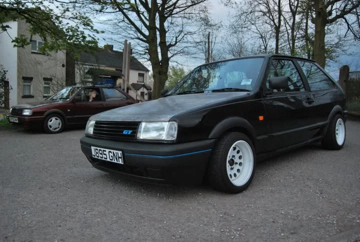 polo12.webp