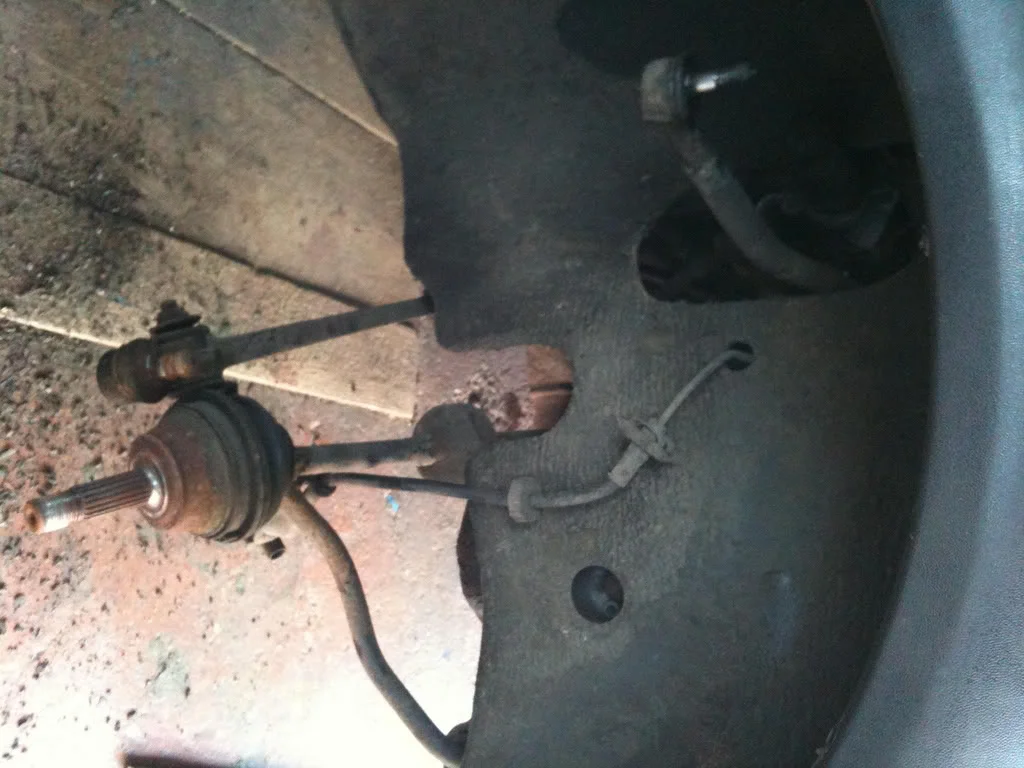 polo5lowering.webp