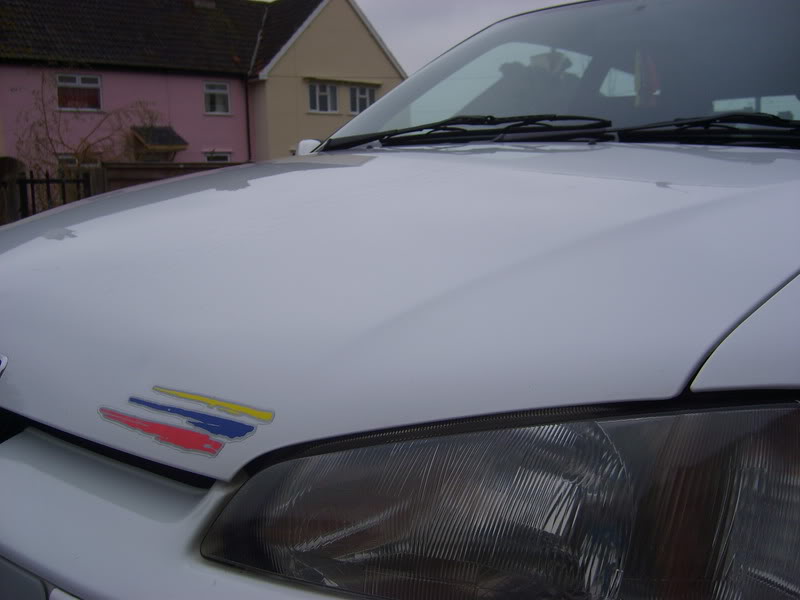 PoloshedBonnet.jpg PoloshedBonnet.jpg