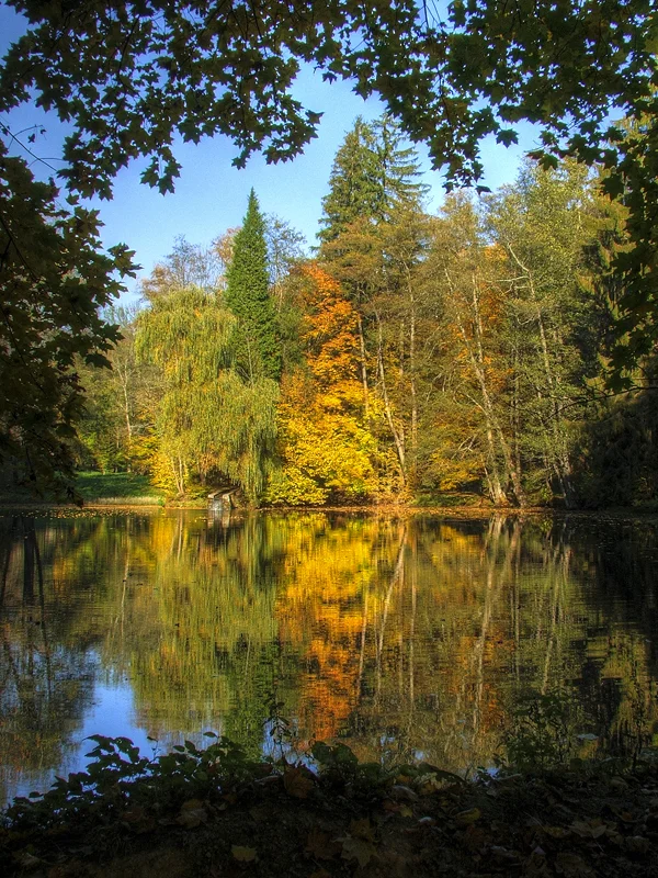 pond.webp