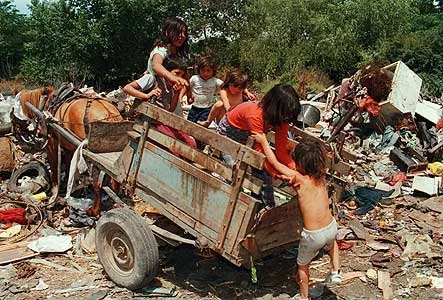 poor-people-in-dump.webp