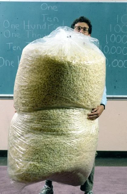 PopcornGiantBag.webp