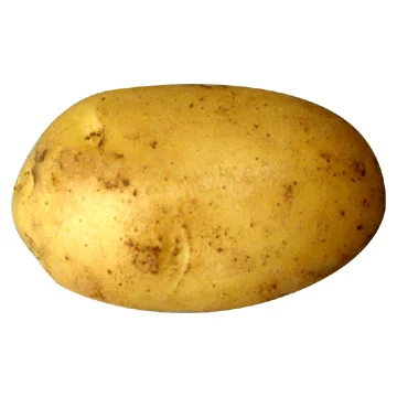potato.webp