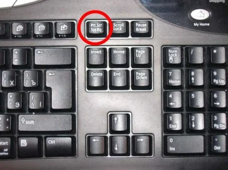 printscreen.webp