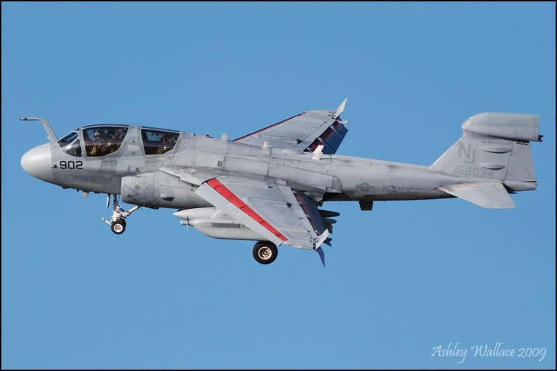 Prowler_11.webp