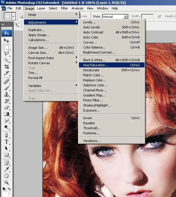 prtscrn1copy.webp