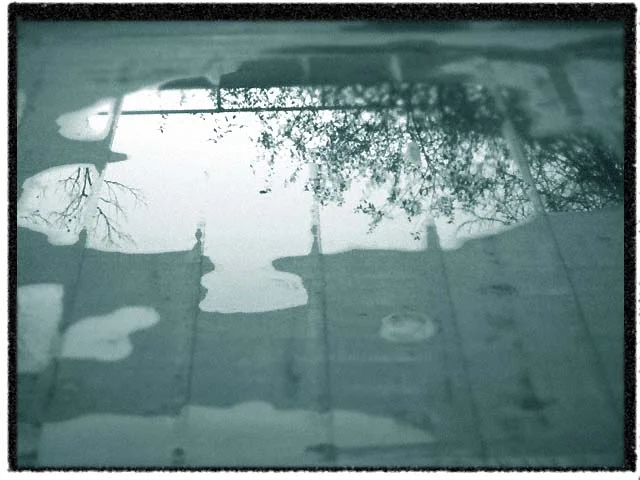 Puddle.webp