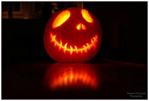 pumpkin-edit-1.webp